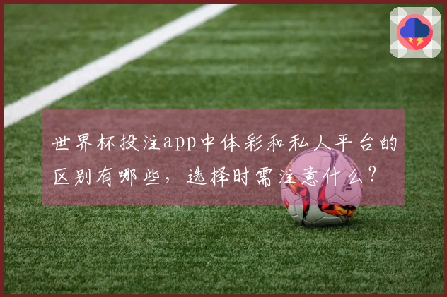 世界杯投注app中体彩和私人平台的区别有哪些，选择时需注意什么？