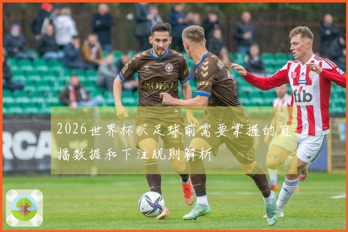 2026世界杯买足球前需要掌握的直播数据和下注规则解析