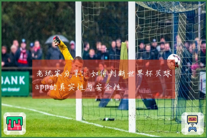 老玩家分享：如何判断世界杯买球app的真实性与安全性