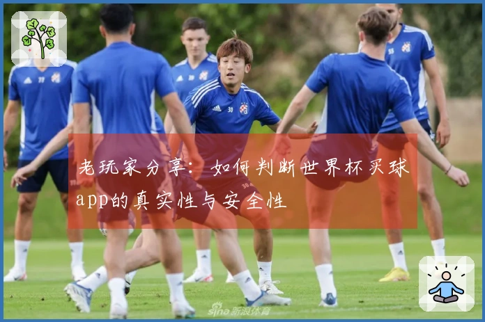 老玩家分享：如何判断世界杯买球app的真实性与安全性