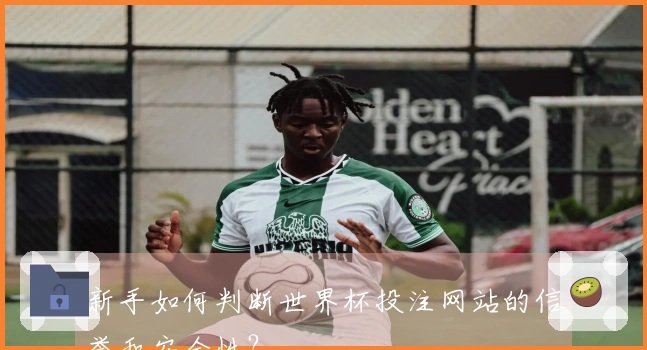 新手如何判断世界杯投注网站的信誉和安全性？