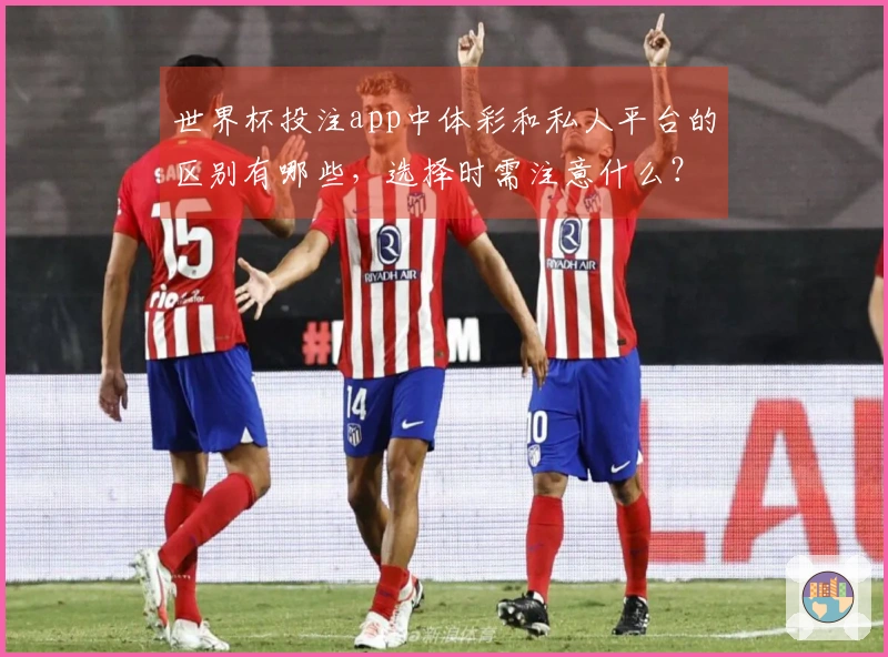 世界杯投注app中体彩和私人平台的区别有哪些，选择时需注意什么？