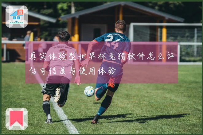 真实体验型世界杯竞猜软件怎么评估可信度与使用体验