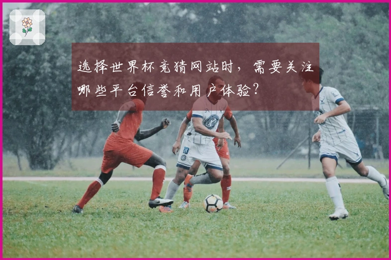 选择世界杯竞猜网站时，需要关注哪些平台信誉和用户体验？