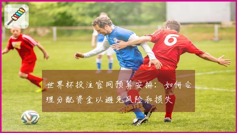 世界杯投注官网预算安排：如何合理分配资金以避免风险和损失