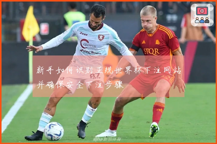 新手如何识别正规世界杯下注网站并确保安全下注步骤
