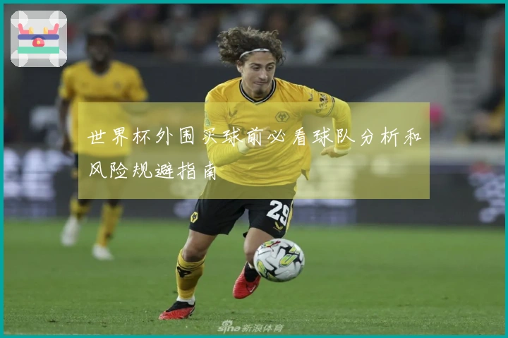 世界杯外围买球前必看球队分析和风险规避指南