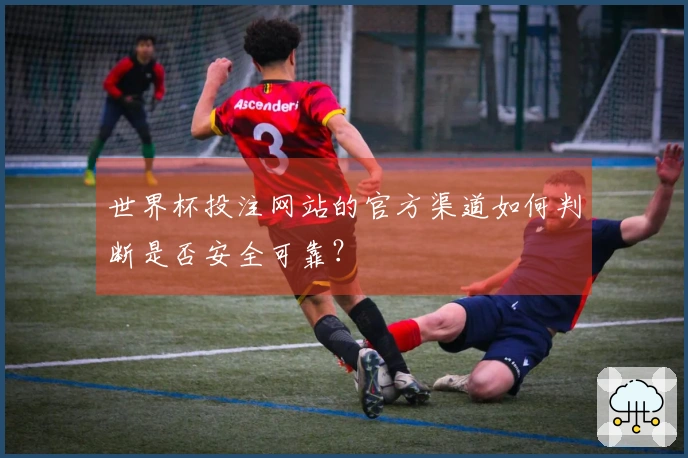 世界杯投注网站的官方渠道如何判断是否安全可靠？