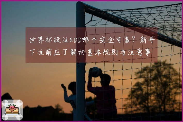 世界杯投注app哪个安全可靠？新手下注前应了解的基本规则与注意事项