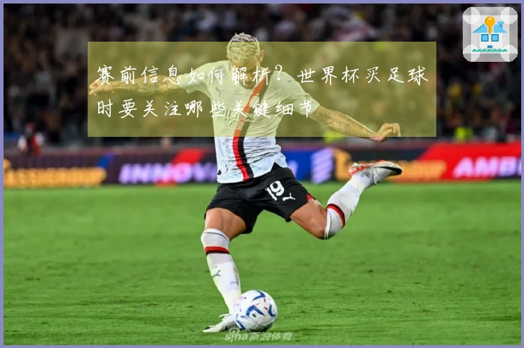 赛前信息如何解析？世界杯买足球时要关注哪些关键细节