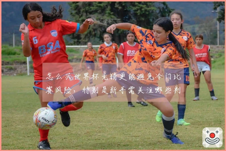 怎么买世界杯竞猜更能避免冷门比赛风险，特别是新手需关注哪些判断点？