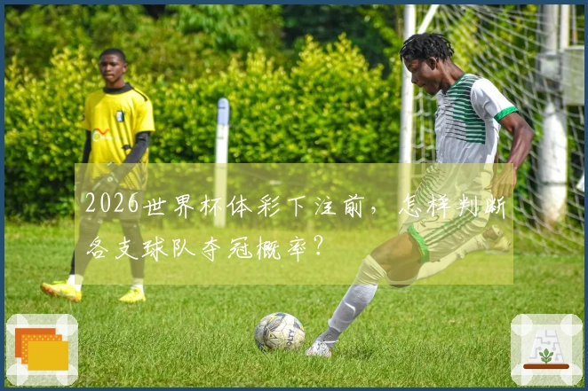 2026世界杯体彩下注前，怎样判断各支球队夺冠概率？