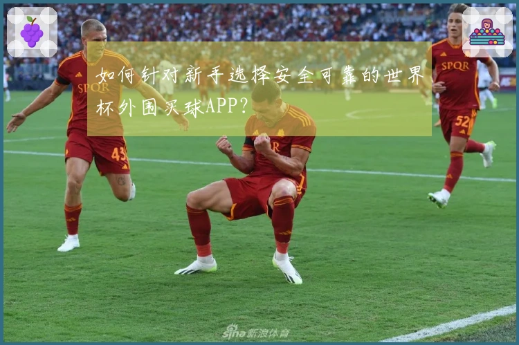 如何针对新手选择安全可靠的世界杯外围买球APP？