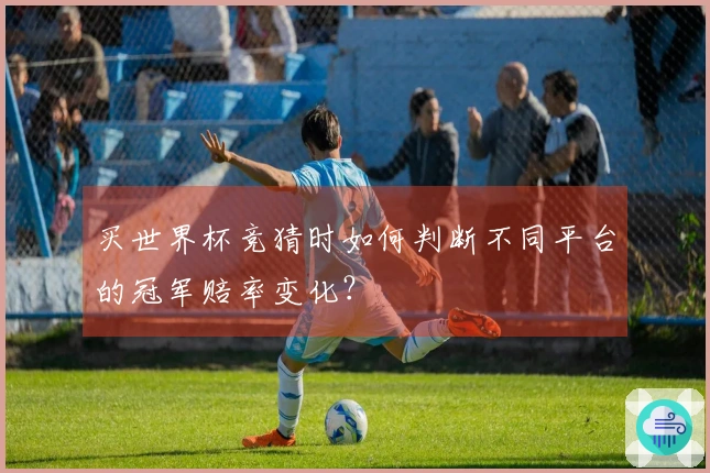买世界杯竞猜时如何判断不同平台的冠军赔率变化？