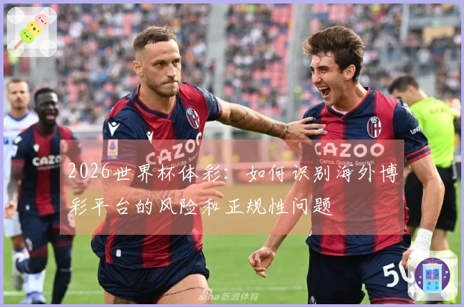 2026世界杯体彩：如何识别海外博彩平台的风险和正规性问题