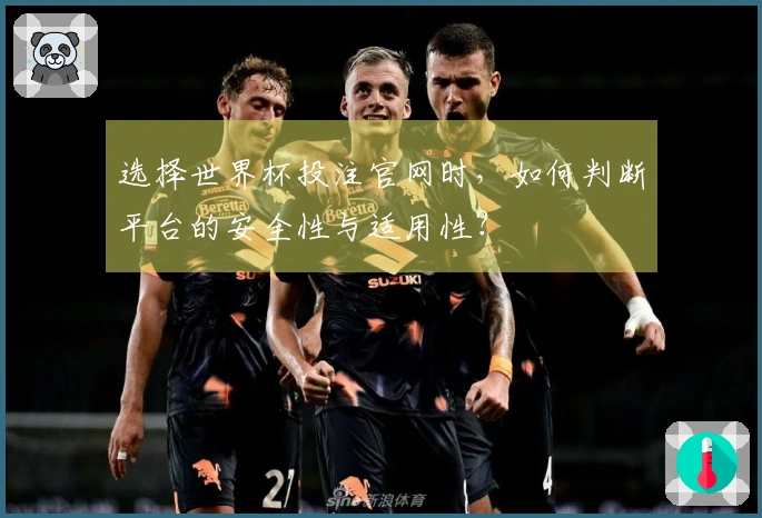 选择世界杯投注官网时，如何判断平台的安全性与适用性？