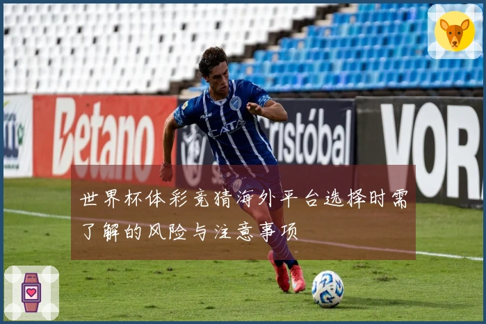 世界杯体彩竞猜海外平台选择时需了解的风险与注意事项