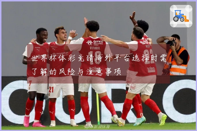 世界杯体彩竞猜海外平台选择时需了解的风险与注意事项