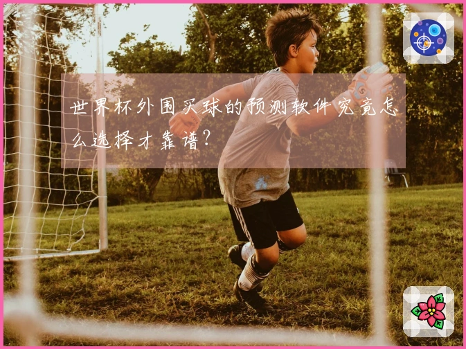 世界杯外围买球的预测软件究竟怎么选择才靠谱？