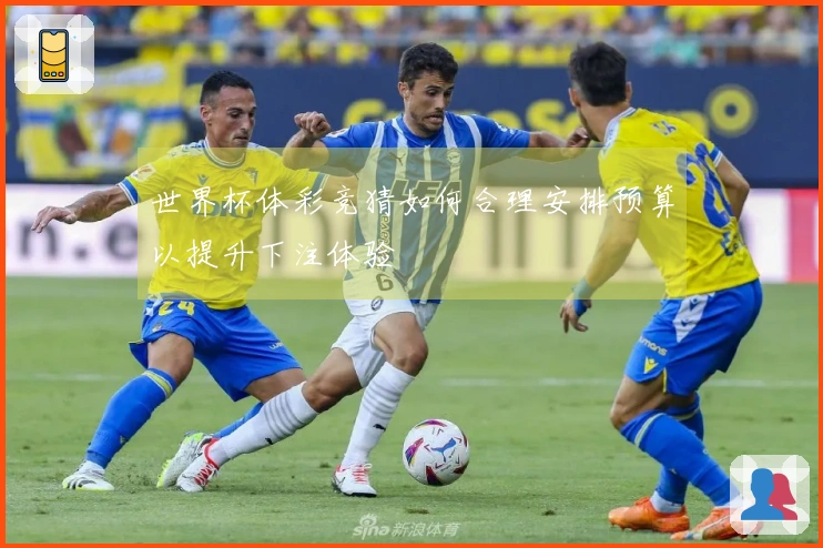 世界杯体彩竞猜如何合理安排预算以提升下注体验