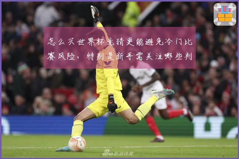 怎么买世界杯竞猜更能避免冷门比赛风险，特别是新手需关注哪些判断点？
