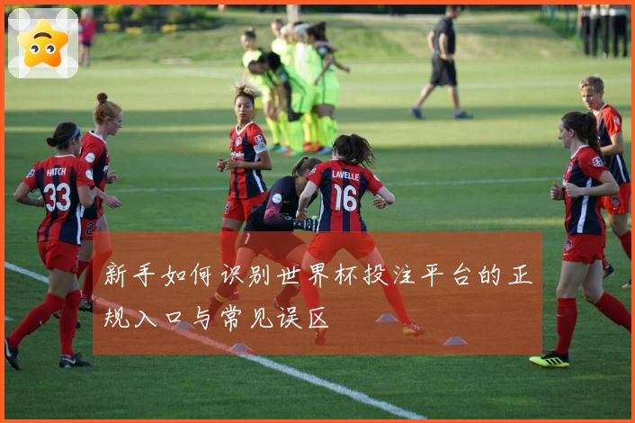 新手如何识别世界杯投注平台的正规入口与常见误区