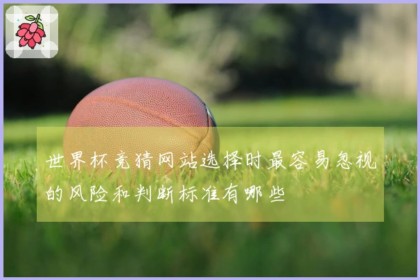 世界杯竞猜网站选择时最容易忽视的风险和判断标准有哪些