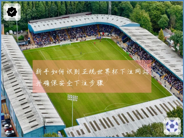 新手如何识别正规世界杯下注网站并确保安全下注步骤