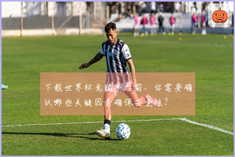 下载世界杯竞猜平台前，你需要确认哪些关键因素确保安全性？