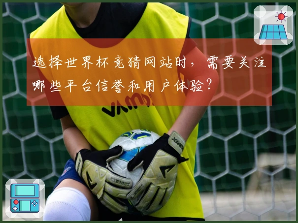 选择世界杯竞猜网站时，需要关注哪些平台信誉和用户体验？